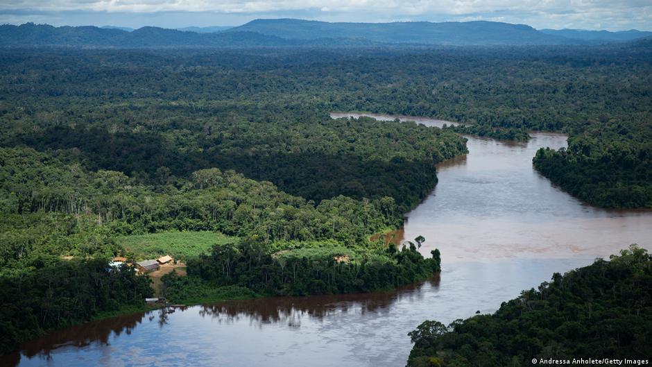Lee más sobre el artículo Los bosques de la Amazonía brasileña emitieron más carbono del que absorbieron
