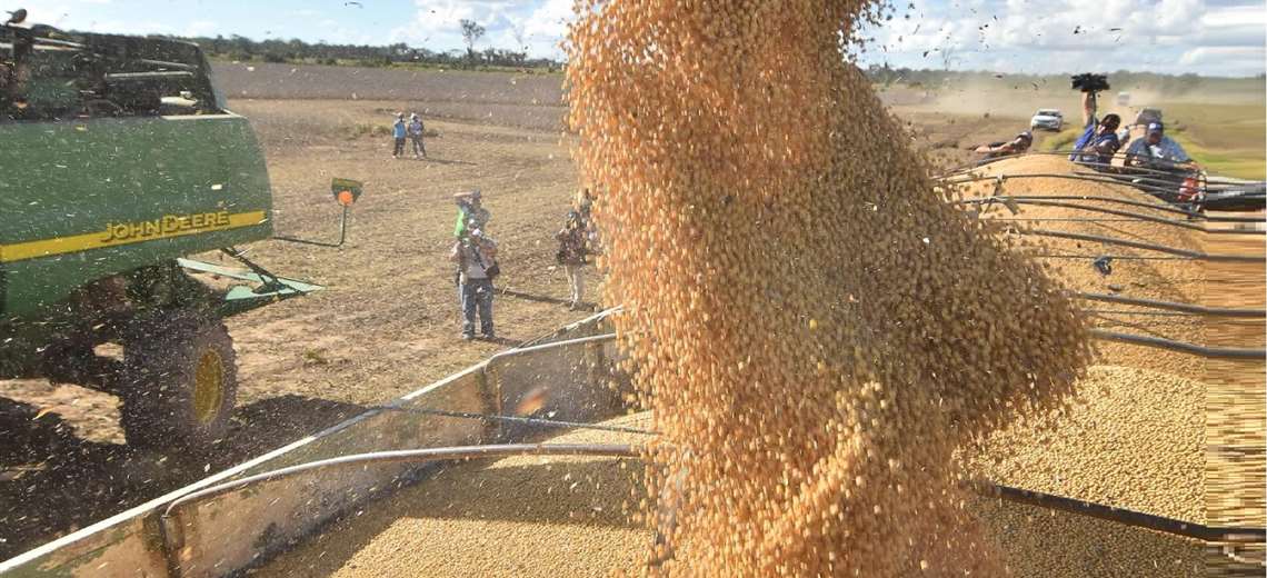 Lee más sobre el artículo Campaña de verano registra un 90% del avance superando el millón de hectáreas