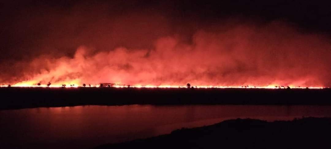 Lee más sobre el artículo Un incendio forestal afecta al Parque Nacional Otuquis en Santa Cruz