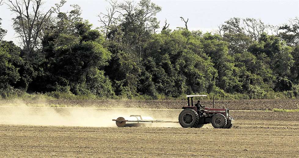 Lee más sobre el artículo Falta de lluvias paraliza la siembra de cultivos de invierno en Santa Cruz