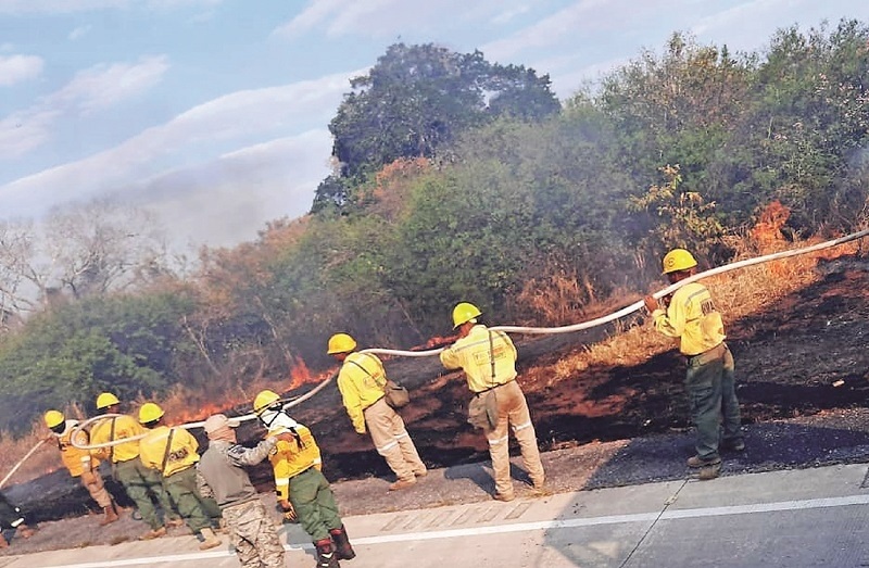 Lee más sobre el artículo Controlan incendios en Santa Cruz; daños llegan a 15 mil ha