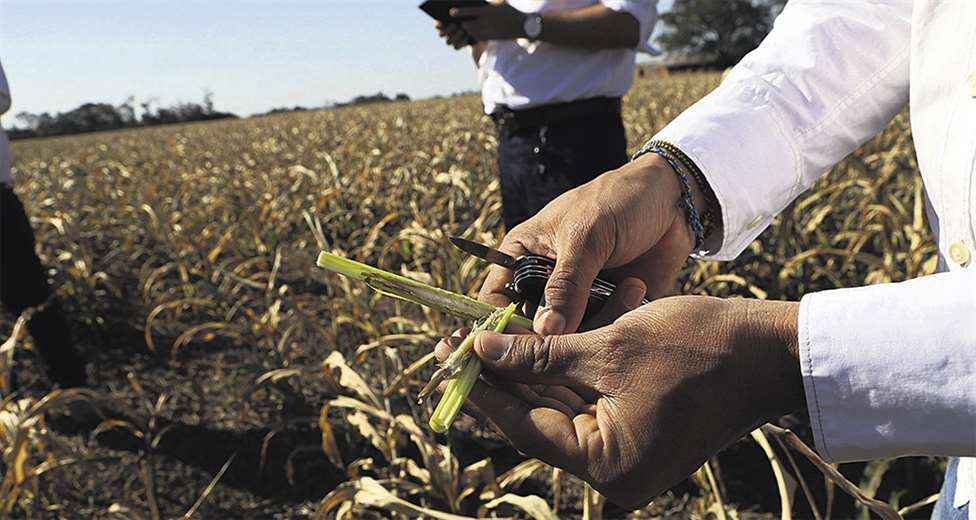 Lee más sobre el artículo Falta de seguridad jurídica y contrabando afectaron al agro boliviano en 2021, según la CAO