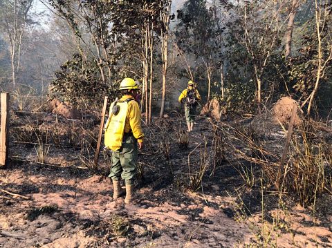 Lee más sobre el artículo La Gobernación declara Alerta Naranja por incendios en Santa Cruz