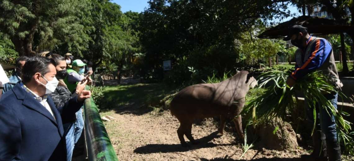 Lee más sobre el artículo Alcaldía anuncia la construcción de un Bioparque para albergar a las especies del Zoo en una zona alejada