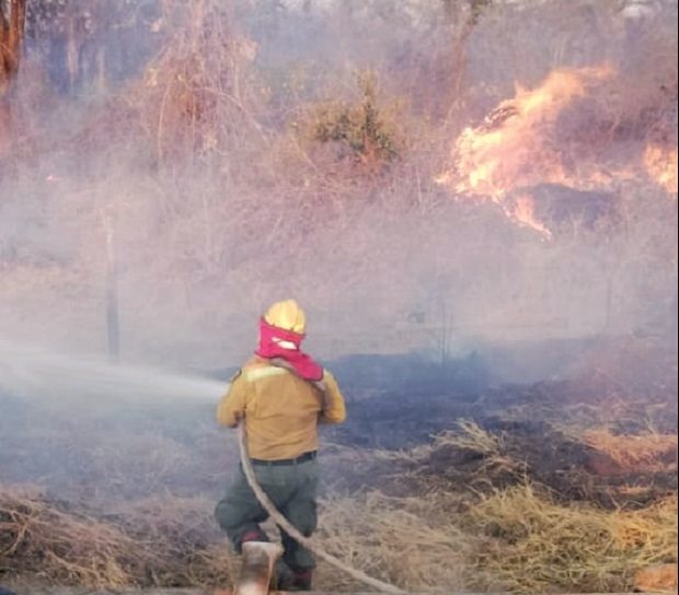 Lee más sobre el artículo El fuego llega a San Ignacio y se declara en emergencia