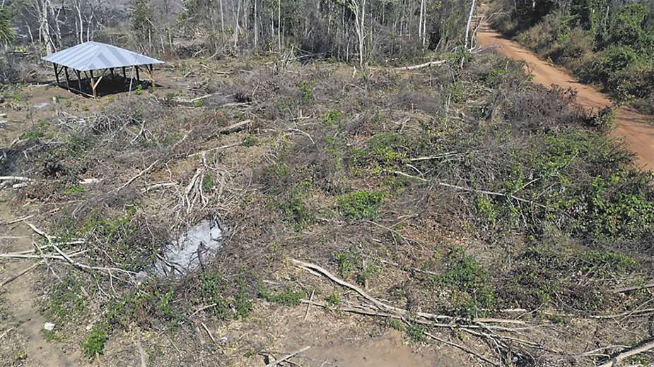 Lee más sobre el artículo Auguran para el Bajo Paraguá el mismo destino que tuvo la reserva forestal Choré