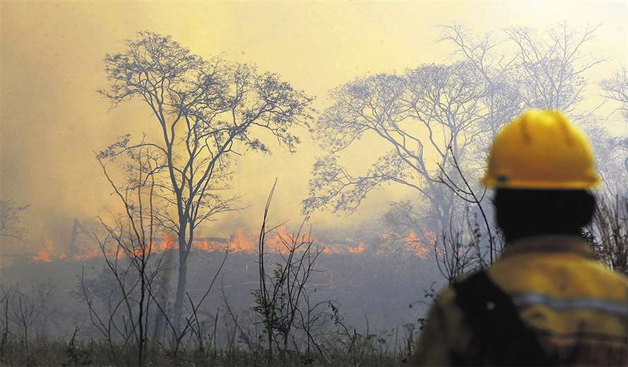 Lee más sobre el artículo La superficie quemada en Santa Cruz se cuadriplicó a más de 400.000 hectáreas, a pesar de la prohibición
