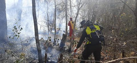 Lee más sobre el artículo Fuego afecta a cinco áreas protegidas en 9 municipios de Santa Cruz