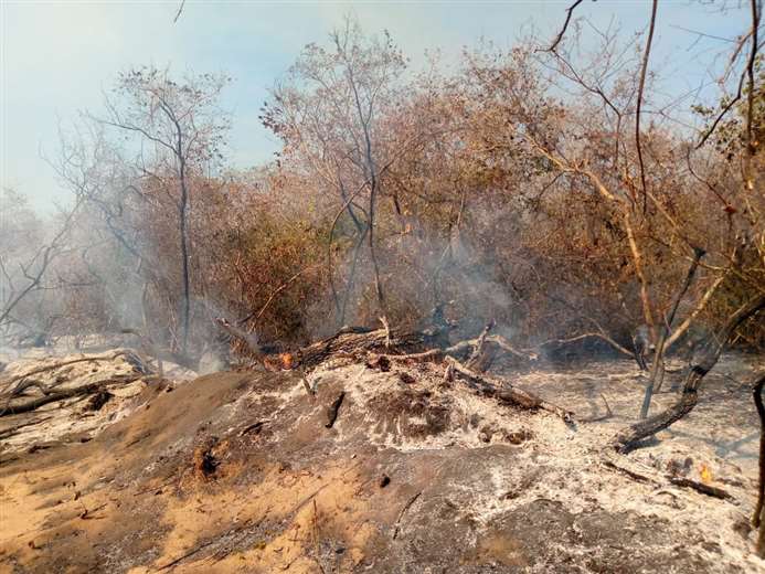 Lee más sobre el artículo El fuego ingresa al Valle de Tucabaca y Roboré declara alerta roja