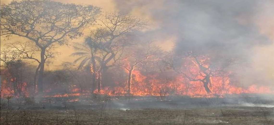 Lee más sobre el artículo 20 incendios forestales ahogan a Santa Cruz: el fuego afecta a 600.000 hectáreas