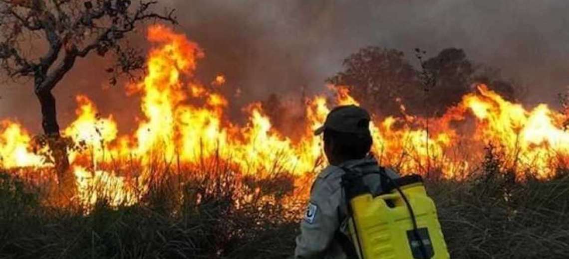 Lee más sobre el artículo Disminuyen los incendios en Santa Cruz, pero persiste la falta de coordinación entre instituciones