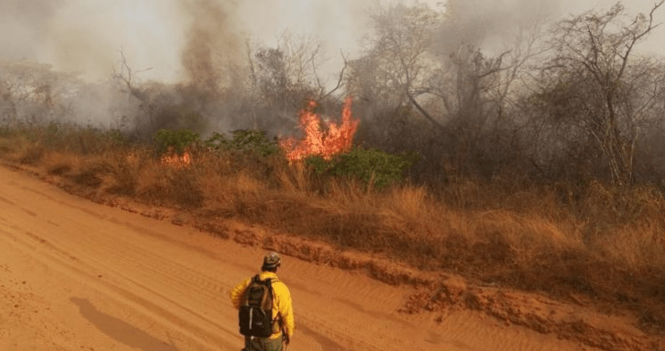 Lee más sobre el artículo Se cuatriplican las quemas en Santa Cruz y persisten tres incendios forestales