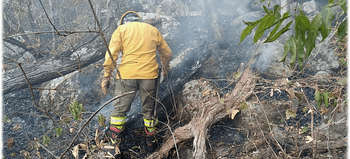 Lee más sobre el artículo Incendios descontrolados afectan a más de un millón de hectáreas en Santa Cruz