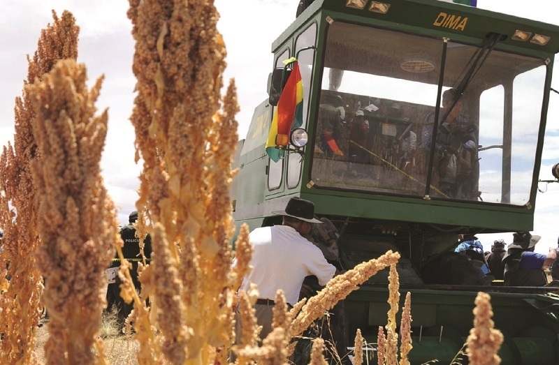 Lee más sobre el artículo Bolivia sufre en 2021 la mayor reducción en sus exportaciones de quinua
