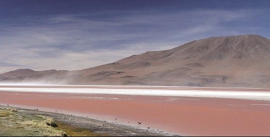 Lee más sobre el artículo Golpe al turismo: sólo Bolivia mantiene cuarentena de ingreso