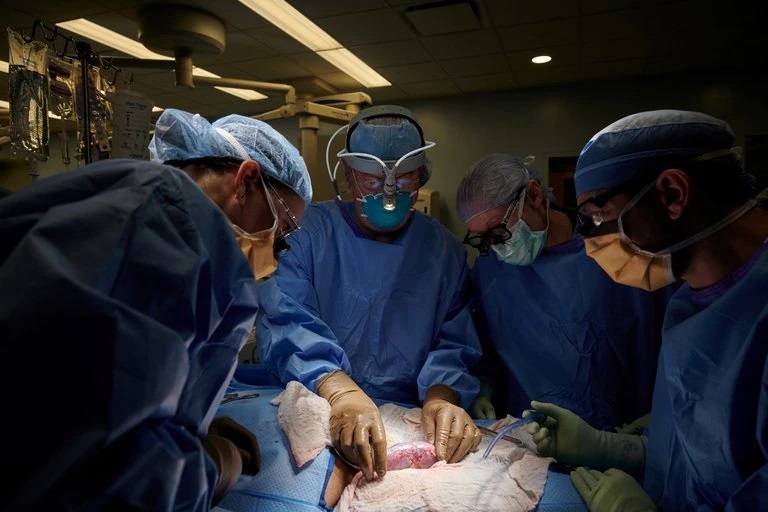 Lee más sobre el artículo El primer hombre en recibir un trasplante de corazón de cerdo muere 2 meses después de la operación