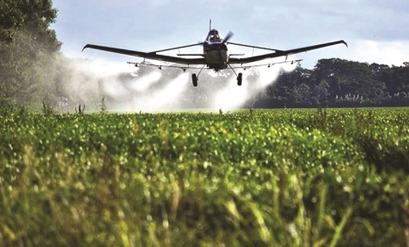 Lee más sobre el artículo Precio de la soya supera los $us 500 la tonelada y productores piden acceso a biotecnología
