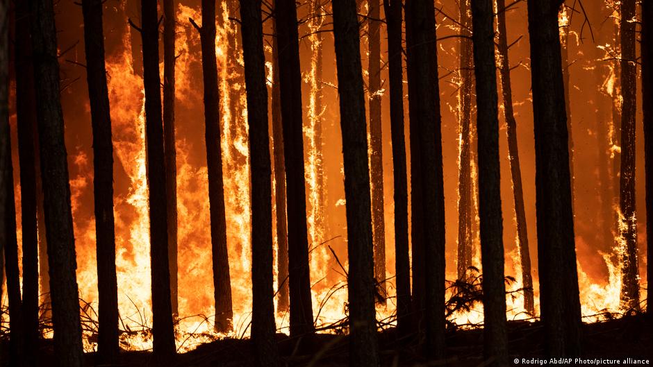 Lee más sobre el artículo Lluvias alivian incendios en Argentina, que espera ayuda internacional