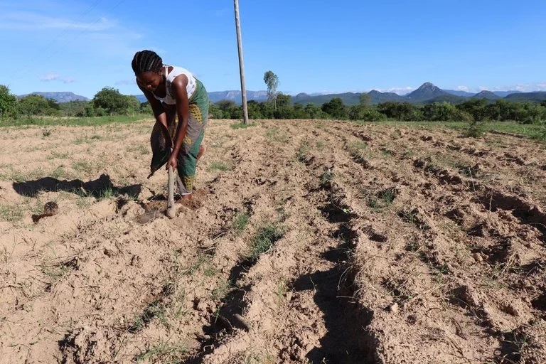 Lee más sobre el artículo La prolongada sequía en el Cuerno de África amenaza con llevar a un hambre límite a más de 13 millones de personas