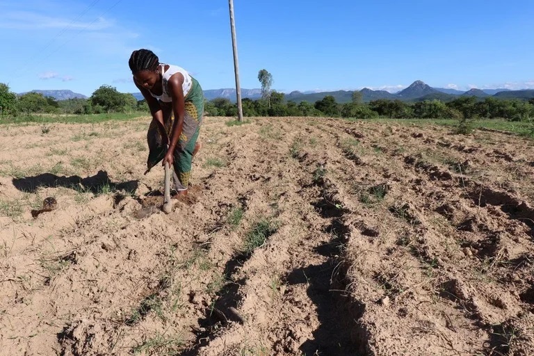 Lee más sobre el artículo La prolongada sequía en el Cuerno de África amenaza con llevar a un hambre límite a más de 13 millones de personas