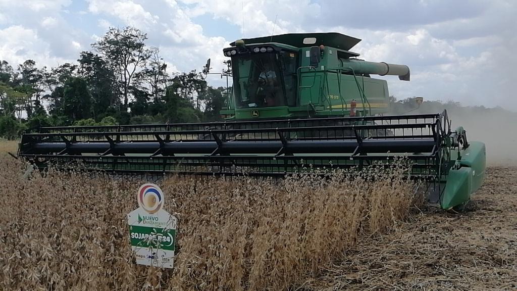 Lee más sobre el artículo ANAPO plantea usar biotecnología para aprovechar el alza del precio de la soya y elevar el rendimiento