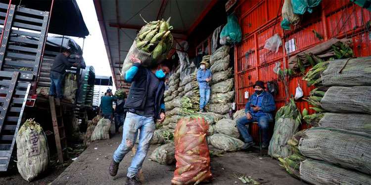 Lee más sobre el artículo Servicios y comercio salvan del desempleo a los bolivianos, según datos del INE