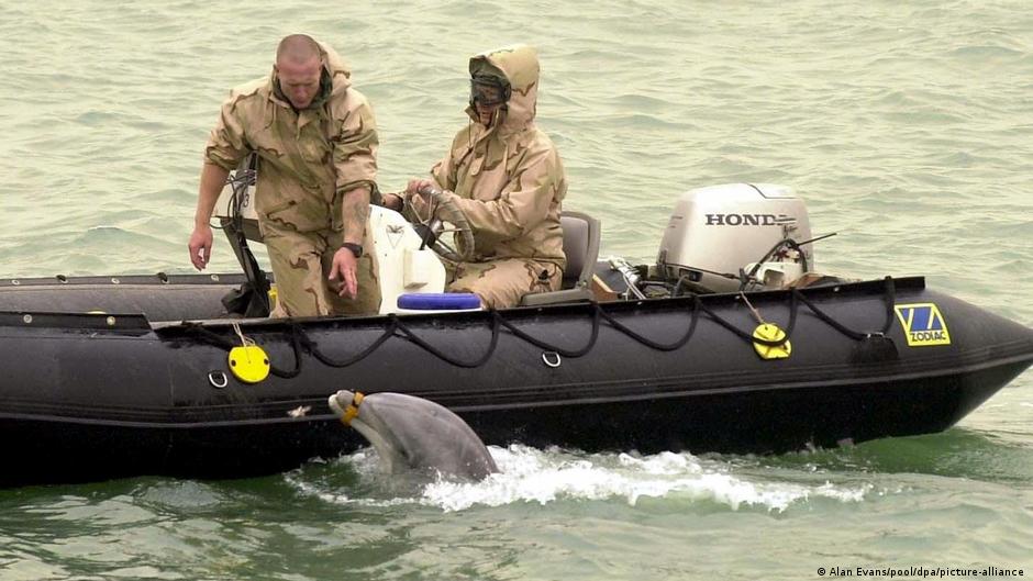 Lee más sobre el artículo Rusia utiliza delfines militares entrenados para proteger su base naval en el Mar Negro, según fotos satelitales