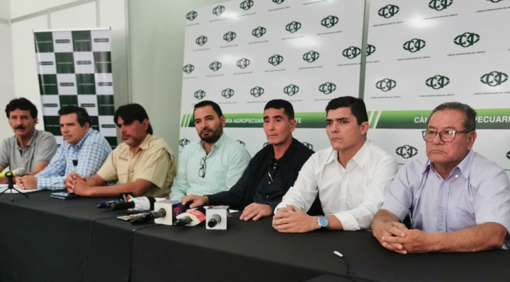 Read more about the article CAO pide declaratoria de emergencia para Santa Cruz por “escasez de maíz y cierre de granjas”