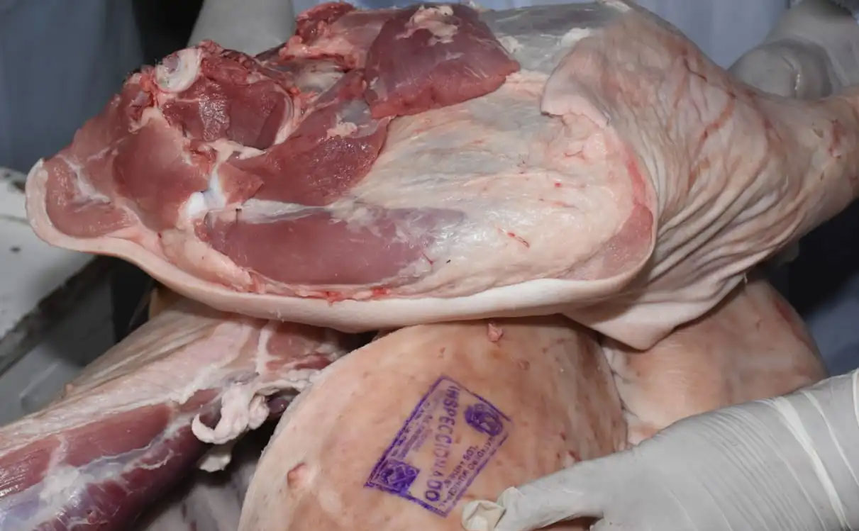 Read more about the article Carniceros advierten con paro y desabastecimiento de carne de cerdo por el alza de precio