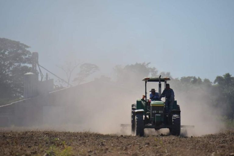 Lee más sobre el artículo Santa Cruz: Emapa inicia siembra de maíz en tierras incautadas a Ostreicher