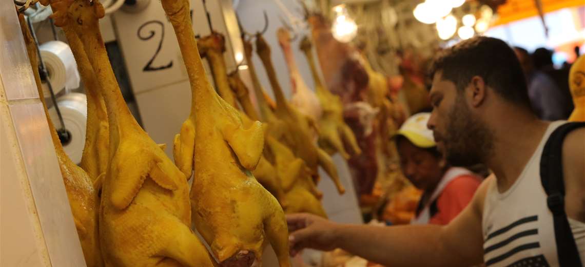 Read more about the article Ante anuncio de veto a exportaciones, avicultores aclaran que el país no vende pollo ni huevo al exterior