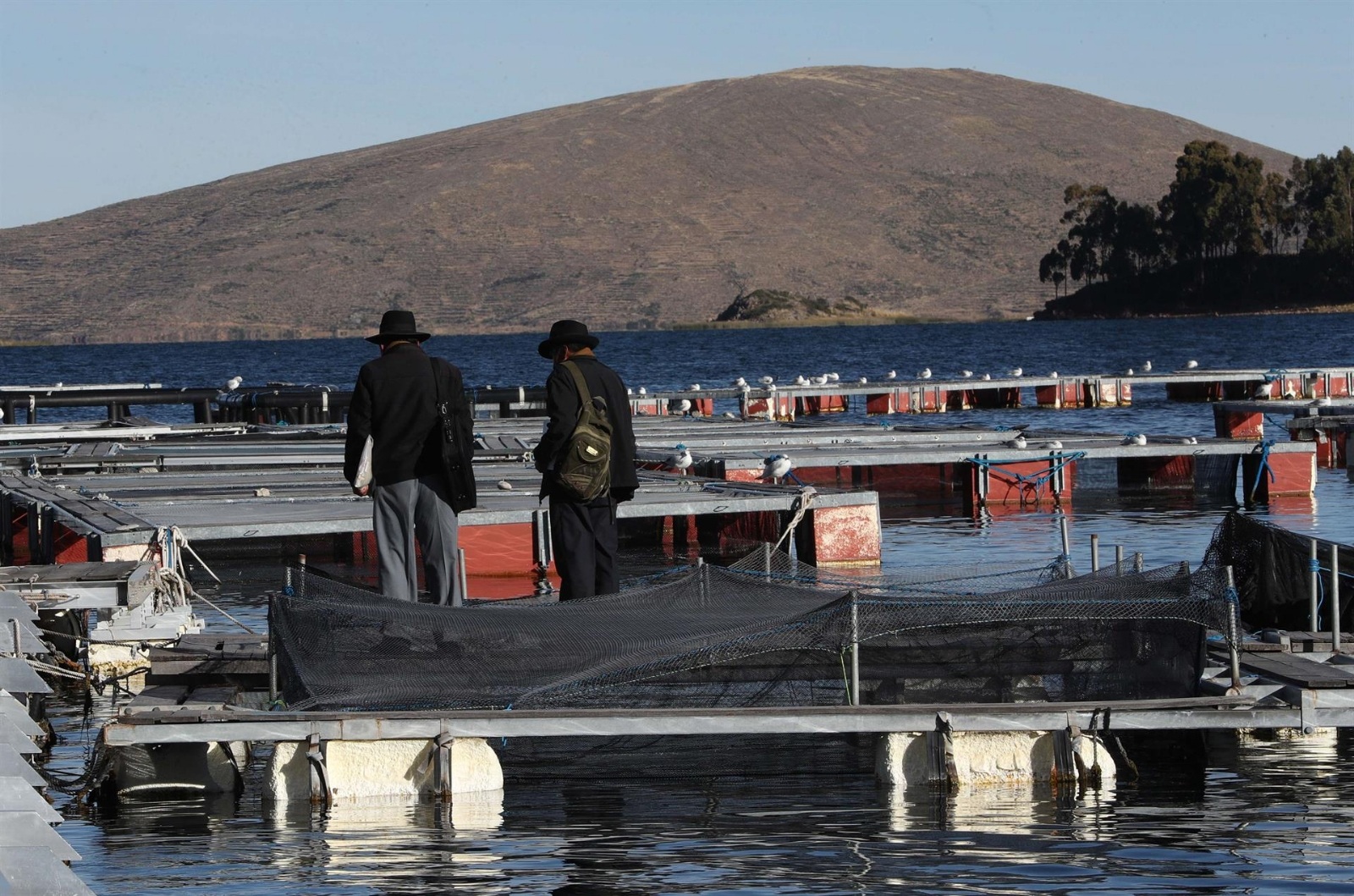 Lee más sobre el artículo Bolivia y Perú abren laboratorio para producir peces en riesgo de extinción