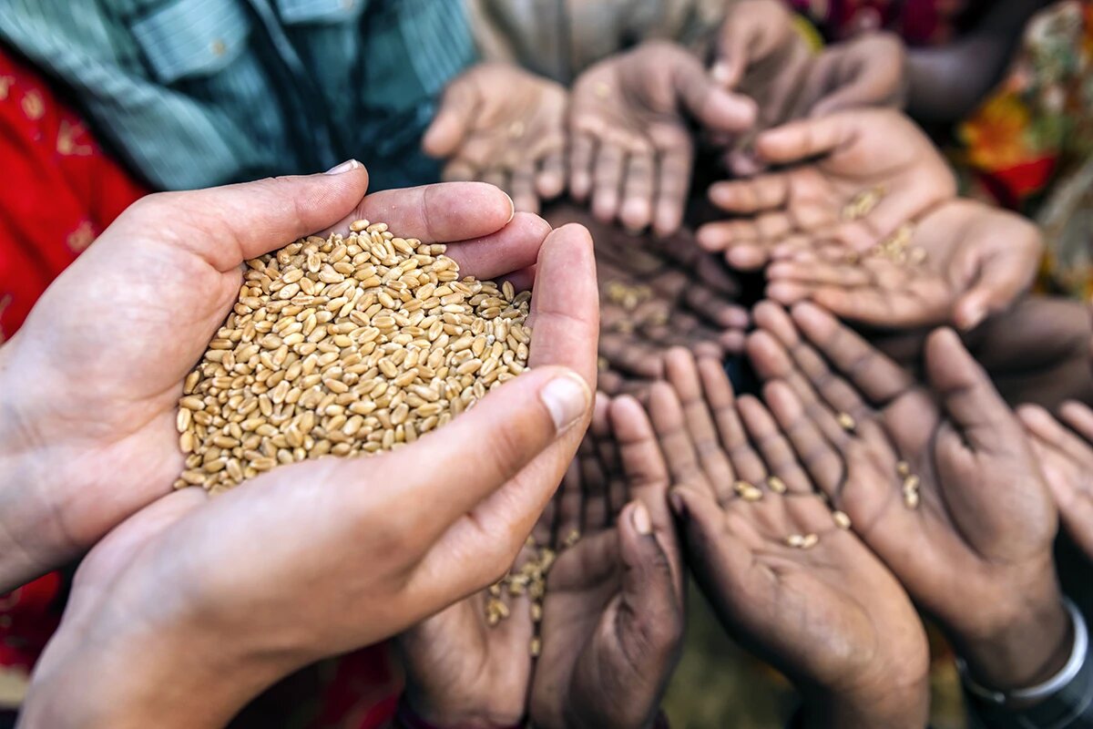 Lee más sobre el artículo LA FAO advierte que “los más vulnerables pagarán más por menos” por subida de precios de alimentos