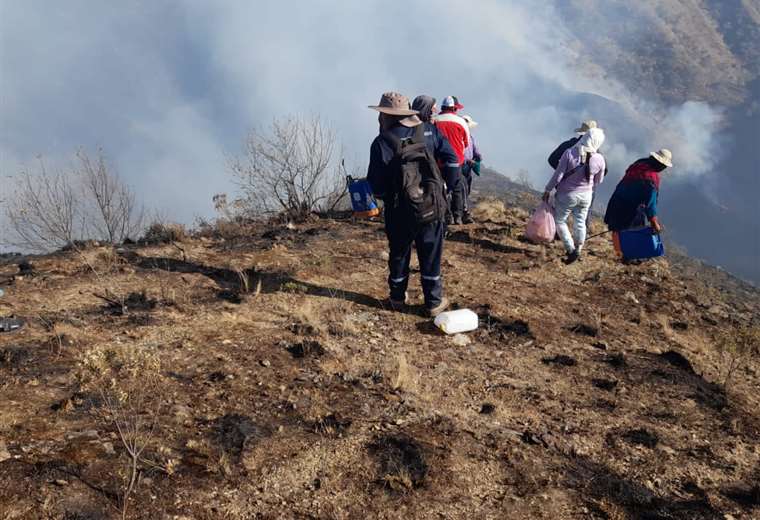 Lee más sobre el artículo Incendio arrasó más de 15 mil hectáreas en el municipio de Padcaya, Tarija