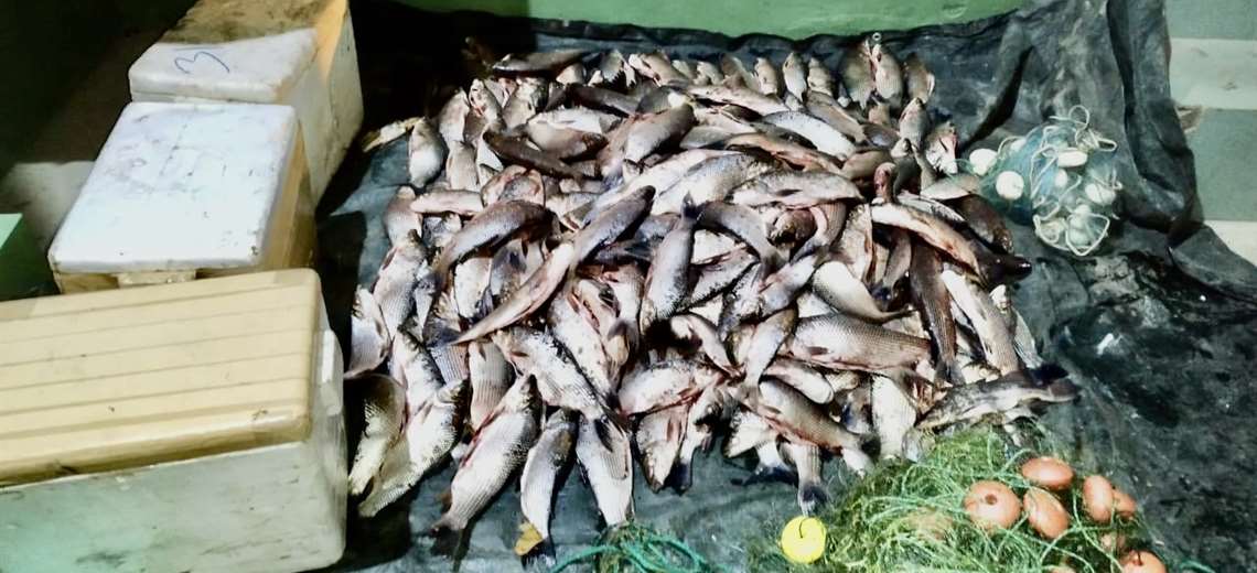 Lee más sobre el artículo Guardaparques y policías decomisan 305 pescados extraídos ilegalmente de la comunidad Masicurí