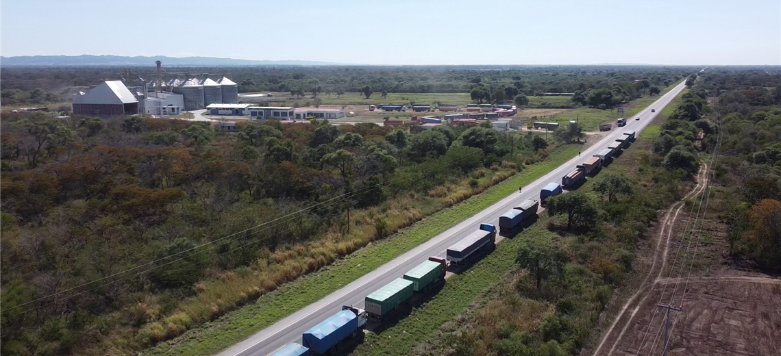 Lee más sobre el artículo Investigación deja en evidencia que camiones con maíz transgénico se destinan a silos de Emapa en Mora