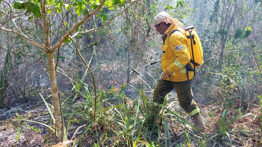 Lee más sobre el artículo Cuatro municipios de Santa Cruz se declaran en desastre por voraces incendios forestales