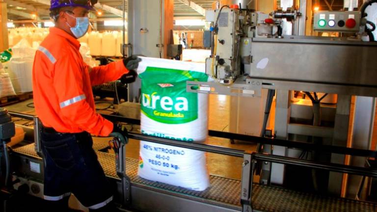 Lee más sobre el artículo En cinco años, Bolivia obtuvo $us 314 MM por exportaciones de urea