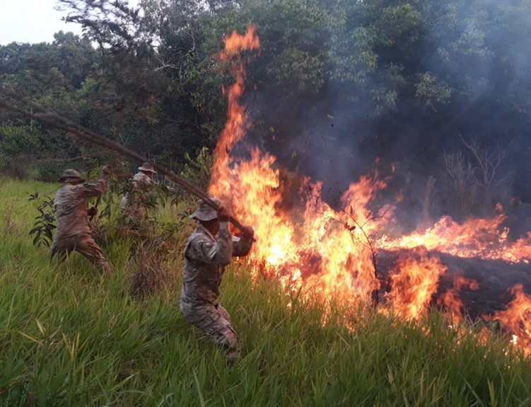 Lee más sobre el artículo El 94% de los incendios del país se concentra en Santa Cruz y Beni