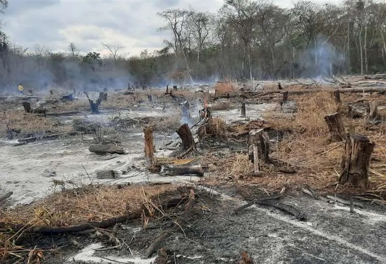 Lee más sobre el artículo Continúan los incendios forestales en cinco municipios cruceños