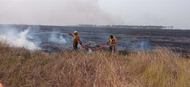 Lee más sobre el artículo Ocho municipios cruceños se declaran en emergencia por incendios