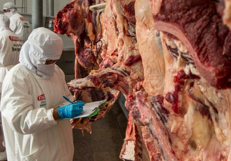 Lee más sobre el artículo Bolivia trabaja con nuevos mercados para aumentar exportaciones de ganado y genética