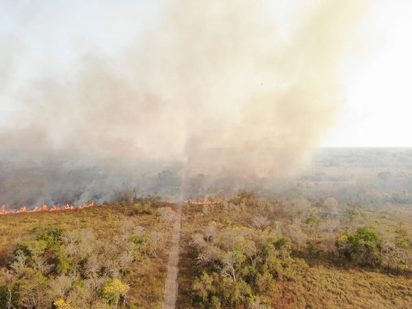 Lee más sobre el artículo Ocho municipios cruceños declarados en desastre por incendios forestales