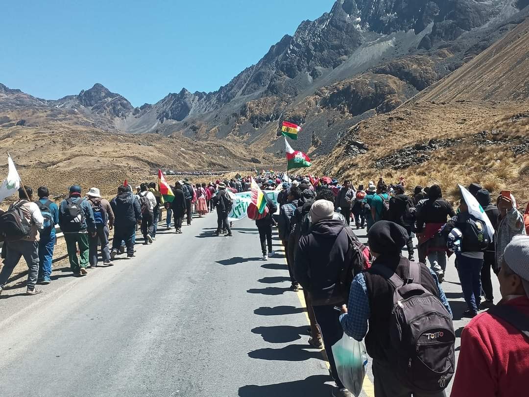 Lee más sobre el artículo Cansados, pero no rendidos”, Adepcoca anticipa el ingreso de 15 mil cocaleros a La Paz este jueves