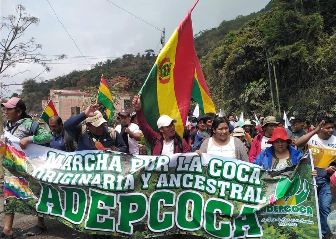 Lee más sobre el artículo Segundo día de marcha de cocaleros de Los Yungas hacia La Paz, buscan diálogo con Luis Arce