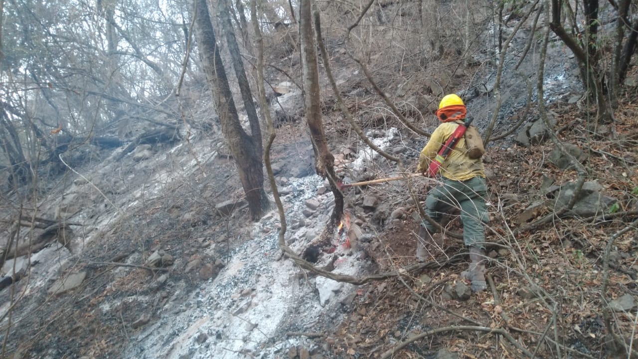 Lee más sobre el artículo Tras 12 días de trabajo, bomberos liquidan en un 90% el incendio en la Serranía Sararenda