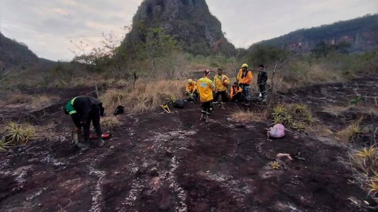 Lee más sobre el artículo A raíz de quemas forestales, Roboré se queda sin agua