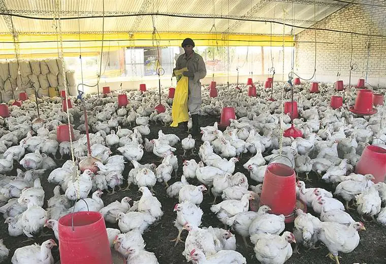 Lee más sobre el artículo El paro complica la producción de alimentos en Beni y Cochabamba