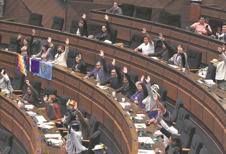 Lee más sobre el artículo El MAS se une para aprobar el PGE 2023 en Diputados; denuncian ‘robo’ de votos