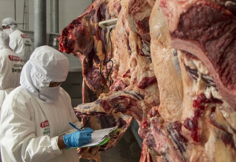Lee más sobre el artículo Exportación de carne bovina crece un 30% en valor y 7% en volumen